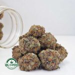 Buy Cannabis Supreme Pineapple Cake AAAA+, Craft at MMJ Express Online Shop