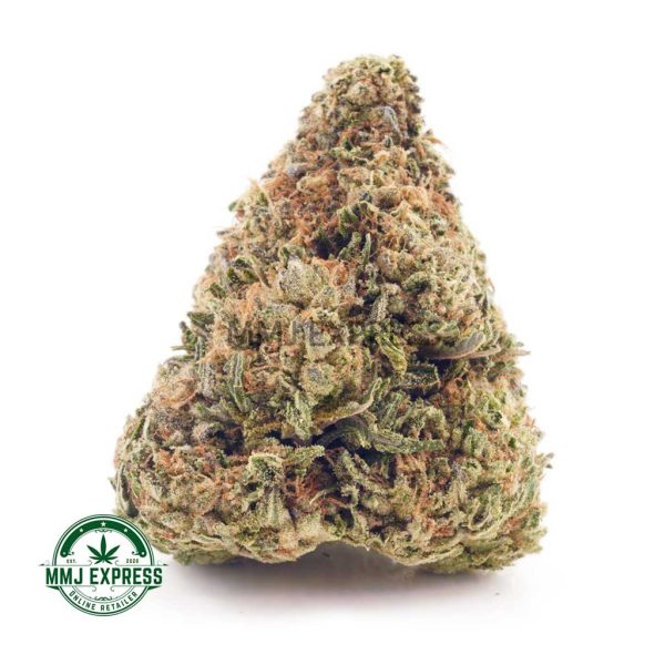 Buy Cannabis White Rhino AAA at MMJ Express Online Shop