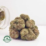 Buy Cannabis White Rhino AAA at MMJ Express Online Shop