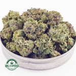 Buy Cannabis Death Pink AAAA (Popcorn Nugs) MMJ Express Online Shop