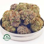 Buy Cannabis Lemon Cookies AAA at MMJ Express Online Shop