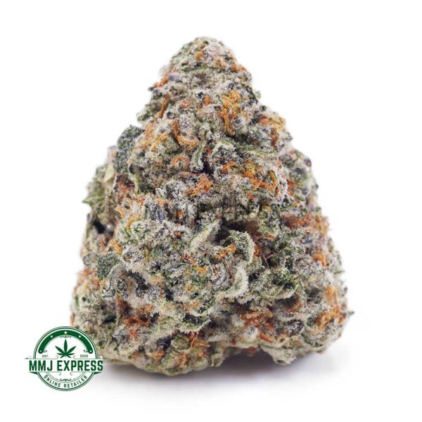 Buy Cannabis Astro Cookies AAA at MMJ Express Online Shop