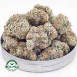 Buy Cannabis Astro Cookies AAA at MMJ Express Online Shop