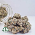 Buy Cannabis Astro Cookies AAA at MMJ Express Online Shop