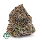 Buy Cannabis Diablo Death Bubba AAAA at MMJ Express Online Shop