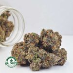 Buy Cannabis Diablo Death Bubba AAAA at MMJ Express Online Shop