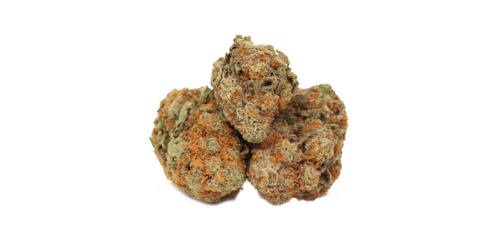 Do Si Cake is a cross between the Do-Si-Dos and the Wedding Cake. This strain is loved for its spicy and floral notes and its unmatched potency levels.