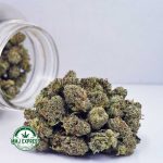 Buy Cannabis Pink Tuna AAAA (Popcorn Nugs) at MMJ Express Online Shop