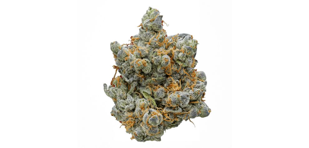 This classification also helps you plan for consumption, as most strains are either suitable for evening or daytime use. So what is indica bud?