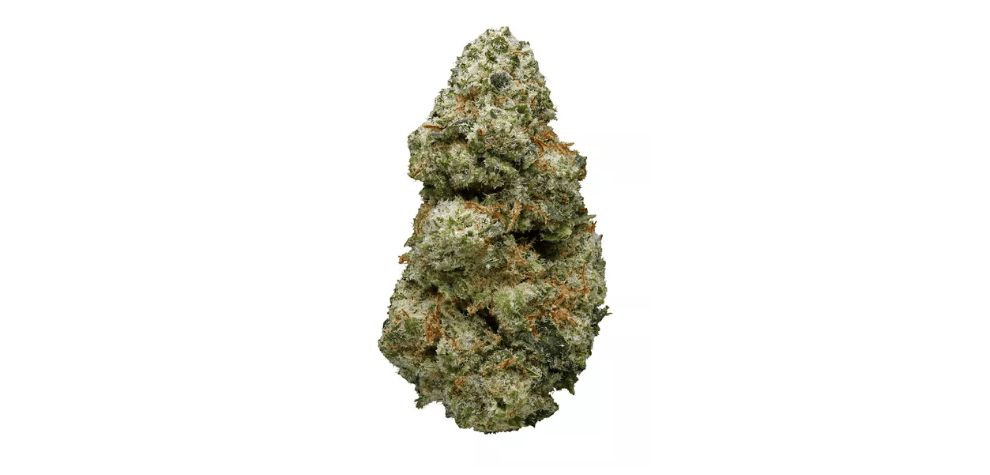 One of the primary considerations when you buy cannabis online is whether a strain is sativa or indica. The sativa-indica classification of weed strains is the oldest and is used at every online weed dispensary.