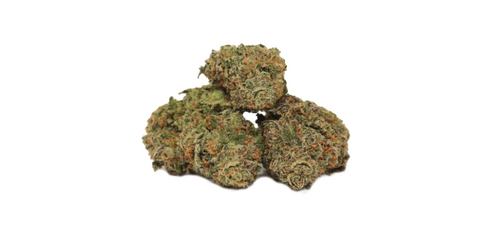 Talking about the Mendo Breath strain THC levels will help you understand how potent this strain is and, in turn, help you decide if it's ideal for you.