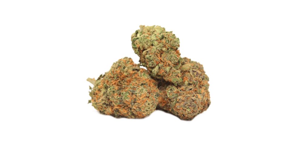 This is one of the easiest strains to spot at our online dispensary in Canada due to its unique appearance. It features frosty, thick, spade-shaped olive green nugs covered by a thick layer of trichomes.