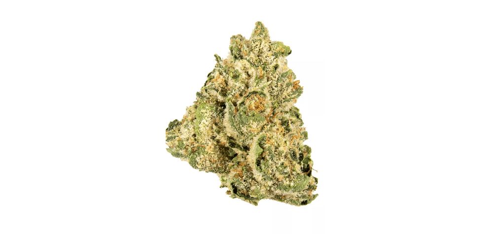 The effects of the Jungle Cake strain resemble those of the Wedding Cake Strain, with an incredible upbeat Sativa vibe. However, Jungle Cake delivers a far stronger smoke. 