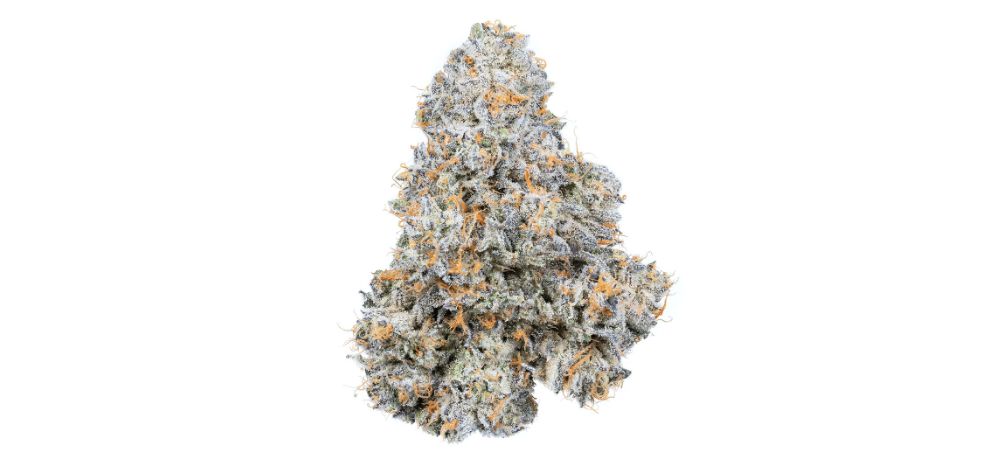 In fact, many users claim that the Perm Marker is one of the tastiest strains to try from an online weed dispensary! The taste and aroma profile is natural and one whiff is enough to realize that you're dealing with a premium quality, raw and natural herb.