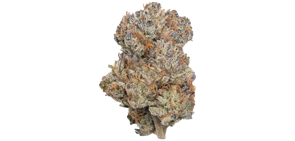 The Perm Marker strain is an Indica hybrid born from the union of Biscotti, Jealousy, and the Sherbet BX strains. These parent strains offer a range of benefits that you will experience when smoking the Perm Marker. 