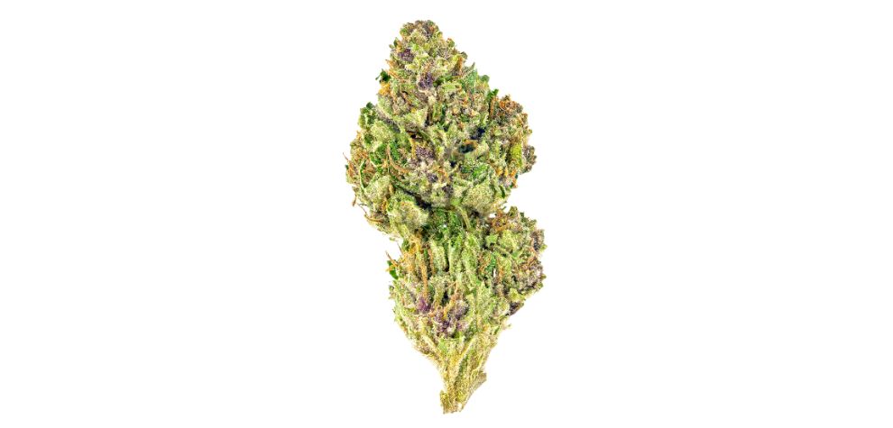 The Pink Kush strain packs a punch that you'll fall in love with. Anytime you're looking for an Indica online that delivers heavy hits, this strain is worth your time. 