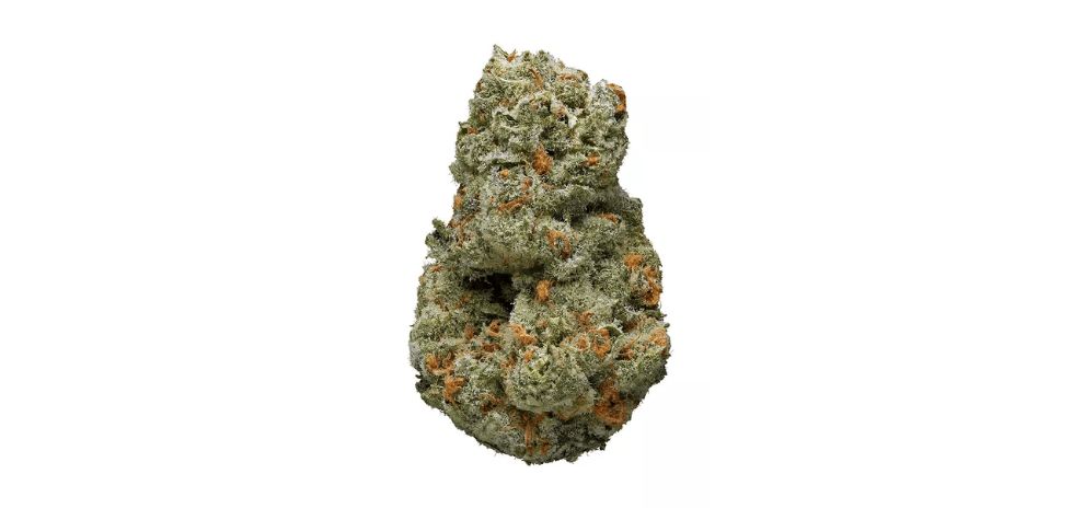 Choosing the right Indica online can be a challenging task, considering the fact that a few factors come into play. 