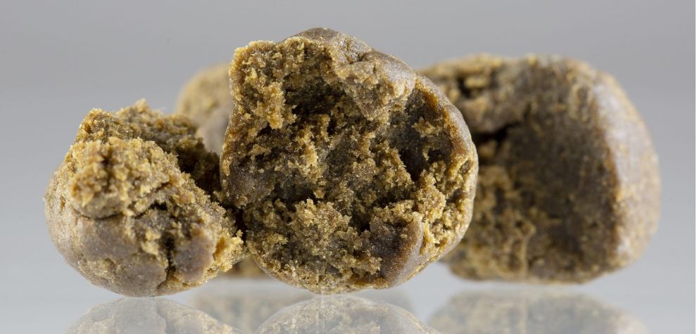 Hash is a ridiculously potent cannabis concentrate made from the trichome-rich resin of the cannabis plant. 