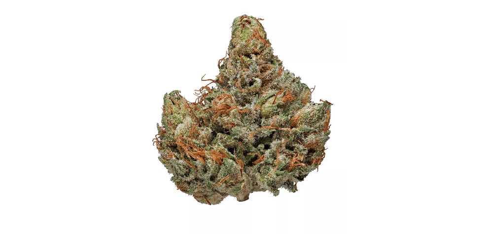 Master Kush weed strain, also known as High Rise, is one of the most popular cannabis buds at our online weed dispensary. It has won several awards and is known for its highly relaxing body high.