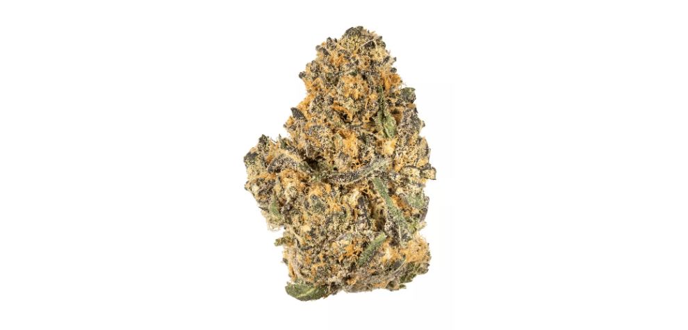 Mendo Breath strain is a remarkable hybrid that has become a favourite for many.