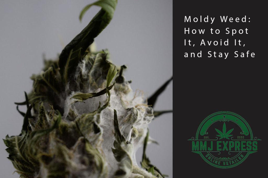 moldy weed