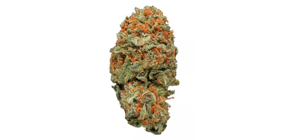 AK 47 weed was first introduced into the market by Serious Seeds, a Dutch company, in the 1990s. The strain remains the company's most successful weed variety. 