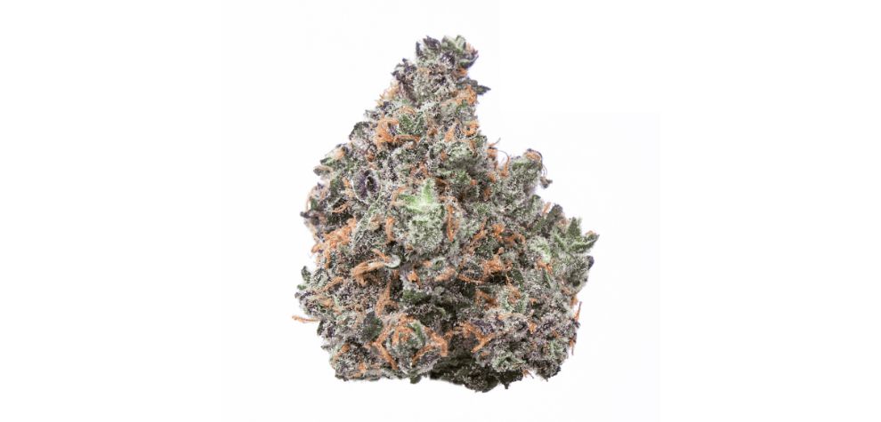 Is Candyland Indica or Sativa? Candyland is a Sativa-dominant strain that originates from the San Francisco Bay Area in California. 