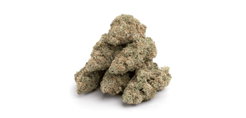 This strain's buds are stunning and visually appealing. Animal Cookies produces dense, as is typical of indica dominant buds.