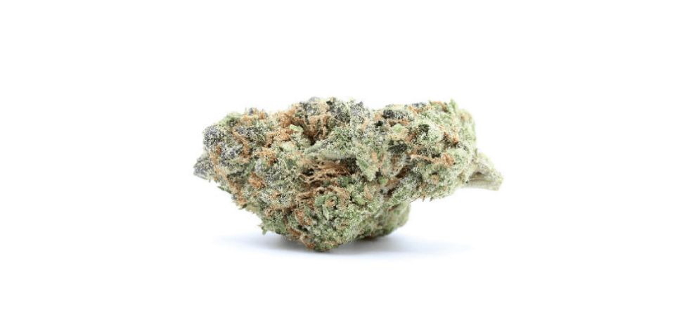 If you want to try Animal Cookies, order it at our online weed dispensary for the highest quality cannabis. MMJ Express is the leading mail-order weed dispensary in Canada.