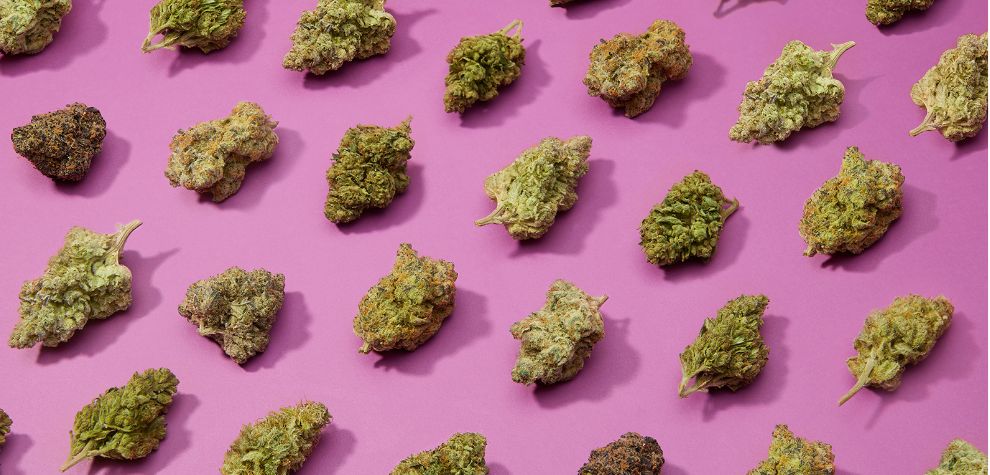 Order weed online from us today to enjoy an indica bud that appeals to the eyes and has a complex flavour profile.