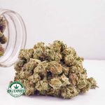 Buy Cannabis Guava Cake AAAA (Popcorn Nugs) at MMJ Express Online Shop