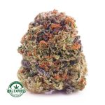 Buy Cannabis Mango Haze AAA at MMJ Express Online Shop