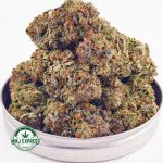 Buy Cannabis Mango Haze AAA at MMJ Express Online Shop