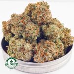 Buy Cannabis Strawberry Cheesecake AAAA at MMJ Express Online Shop