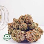 Buy Cannabis Strawberry Cheesecake AAAA at MMJ Express Online Shop