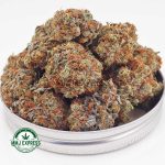 Buy Cannabis Blackberry Kush AAA at MMJ Express Online Shop