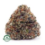 Buy Cannabis Master Yoda AAA at MMJ Express Online Shop