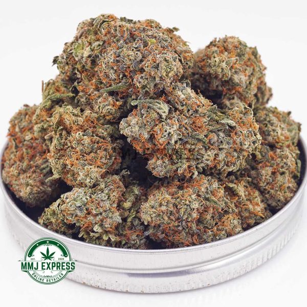 Buy Cannabis Master Yoda AAA at MMJ Express Online Shop