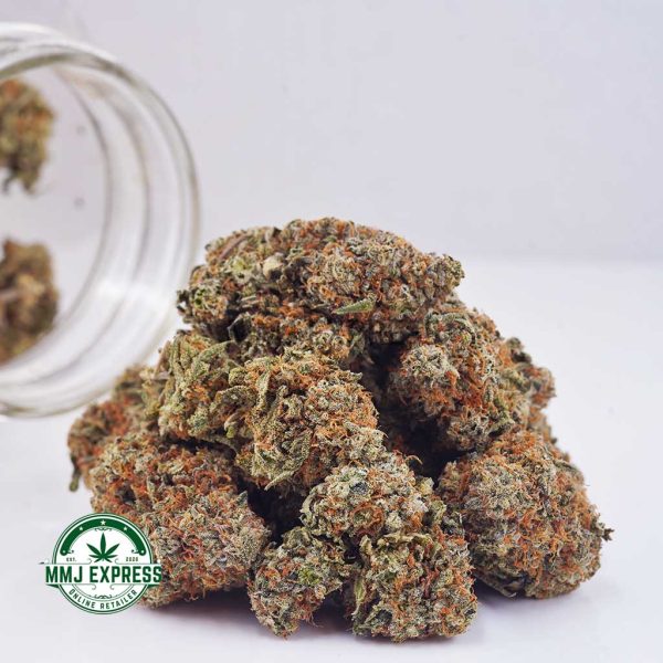 Buy Cannabis Master Yoda AAA at MMJ Express Online Shop