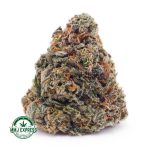 Buy Cannabis Mango Tango AAA at MMJ Express Online Shop