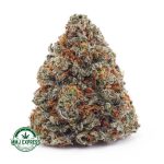 Buy Cannabis Trainwreck AAA at MMJ Express Online Shop