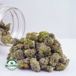 Buy Cannabis Galactic Gas AAAA (Popcorn Nuts)  at MMJ Express Online Shop