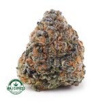 Buy Cannabis Gushers AAAA at MMJ Express Online Shop