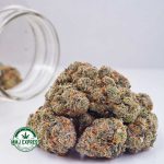 Buy Cannabis Gushers AAAA at MMJ Express Online Shop