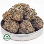 Buy Cannabis Grape Cake AAAA at MMJ Express Online Shop