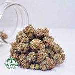 Buy Cannabis King Kong AAAA (Popcorn Nugs) at MMJ Express Online Shop