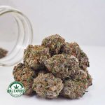 Buy Cannabis Grape God AAAA at MMJ Express Online Shop