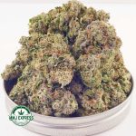 Buy Cannabis El Chapo AAA at MMJ Express Online Shop