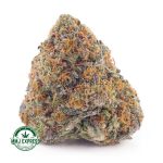 Buy Cannabis Juicy Fruit AAAA at MMJ Express Online Shop