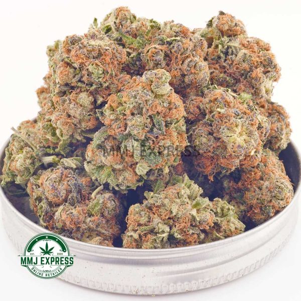 Buy Cannabis King Tut AAA at MMJ Express Online Shop